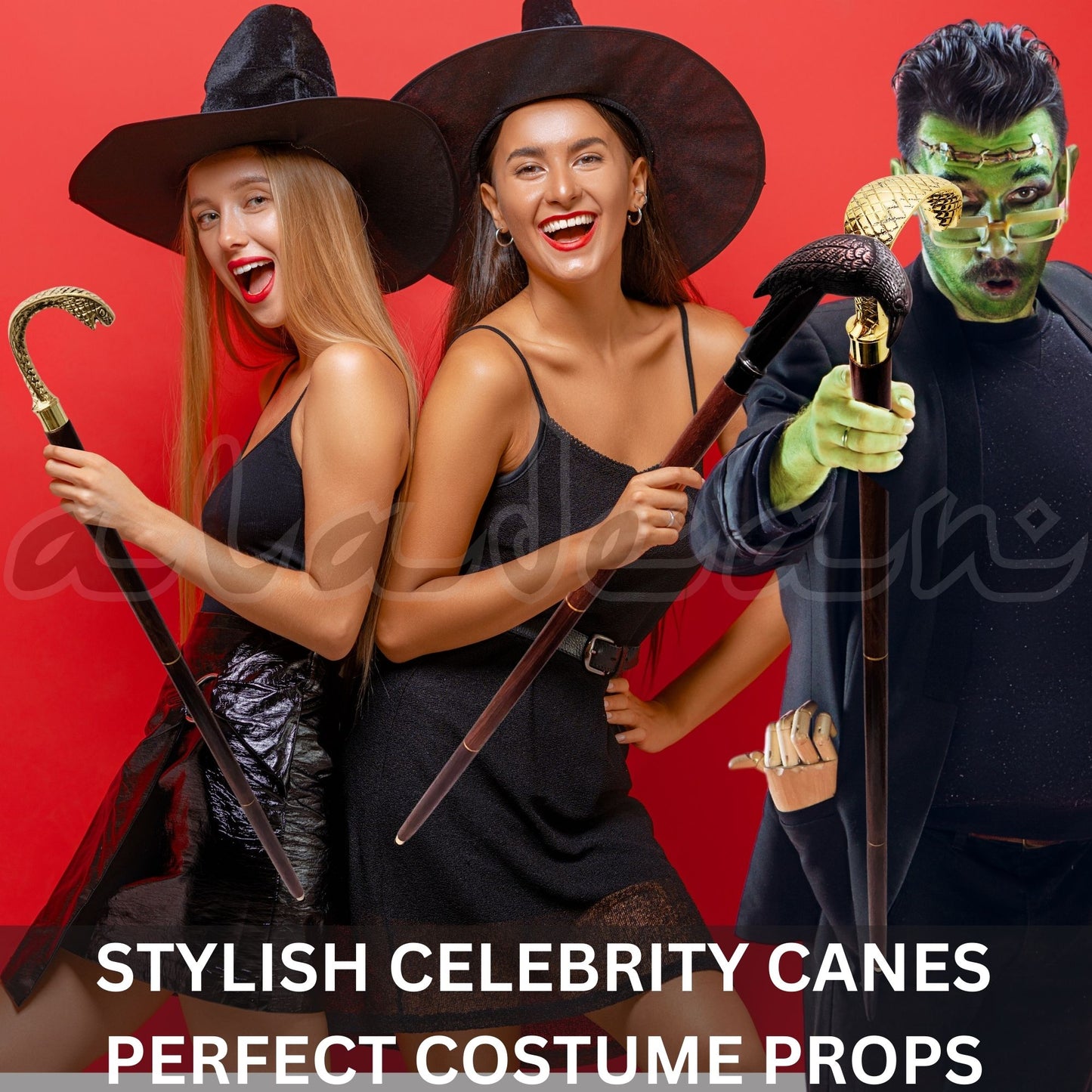 Stylish walking canes for men women